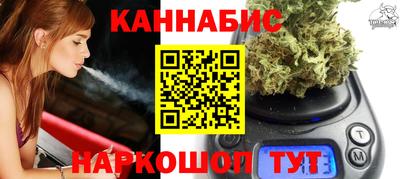 индика Пугачёв