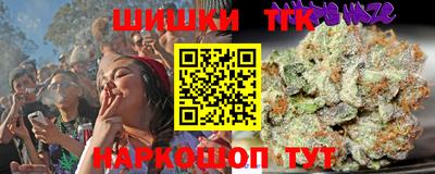 индика Пугачёв