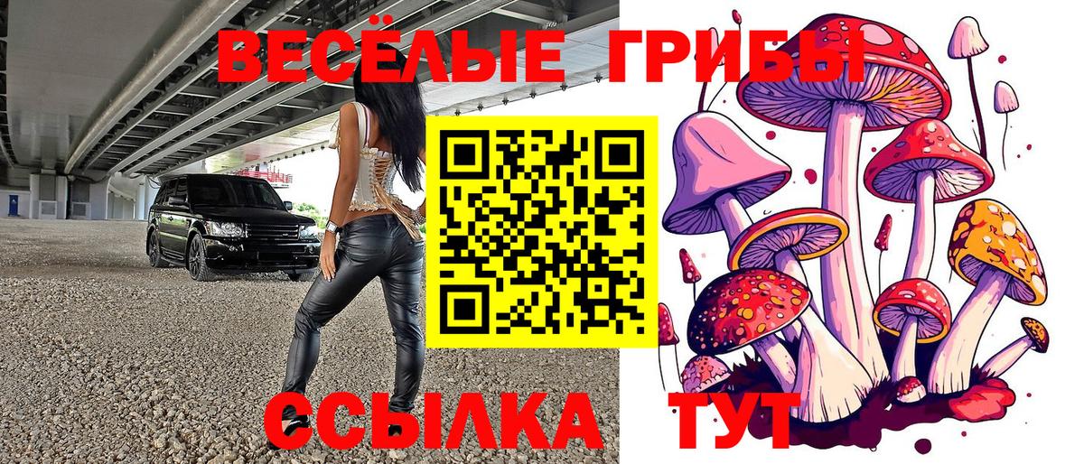 Псилоцибиновые грибы MAGIC MUSHROOMS  Вход с VPN  Саратов 