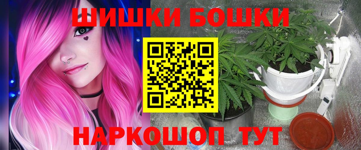 Канабис сатива Саратов