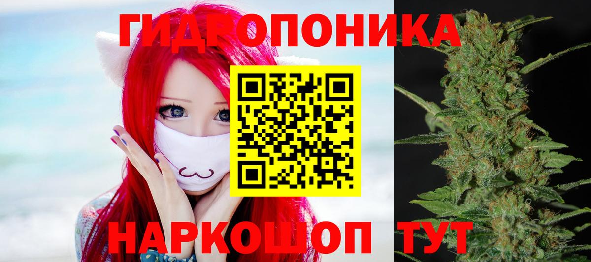 Каннабис конопля  Вход с VPN  Бошки Шишки гибрид  Саратов 